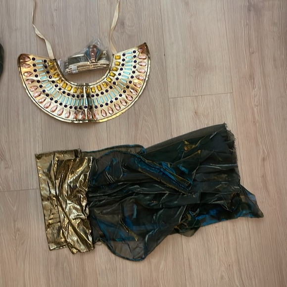 Egyptian Goddess Costume - Picture 5 of 6
